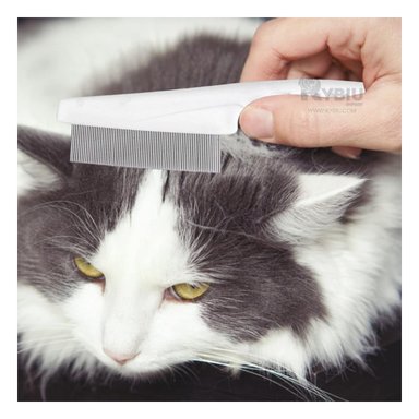 PEINE PERRO Y GATO RYBIU MA29622 PRACTICO DE BLANCO + STICKERS