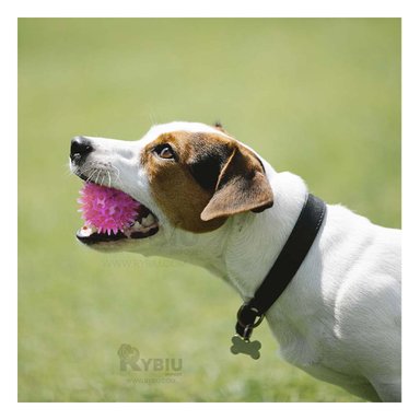 SET PELOTA PERRO Y GATO MA29856 RYBIU CON LUZ LED ROSADO Y AGENDITA