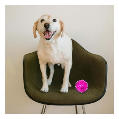 SET PELOTA PERRO Y GATO MA29856 RYBIU 3 DE PUAS CON LUZ LED ROSADO