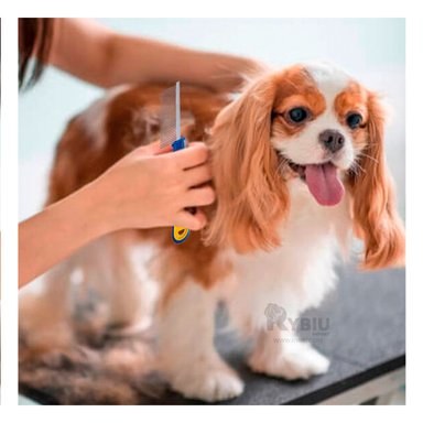 PEINE PERRO RYBIU MA29637 MULTIUSOS CON DIENTE RESISTENTE AZUL + AGENDITA