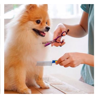 PEINE PERRO RYBIU MA29637 PARA EVITAR NUDOS UAVE AZUL + STICKERS