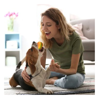 JUGUETE PERRO MA29624 RYBIU RESISTENTE CON FORMA AMARILLO Y STICKERS