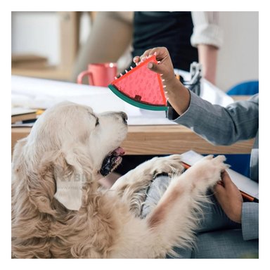 JUGUETE PERRO MA29625 RYBIU IDO PVC TONO ROJO Y AGENDITA