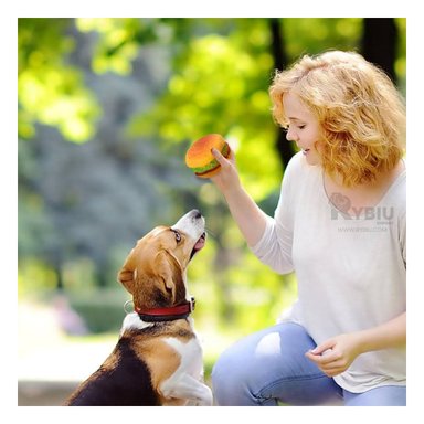 JUGUETE PERRO MA29624 RYBIU CON FORMA HAMBURGUESA AMARILLO Y PAPEL REGALO