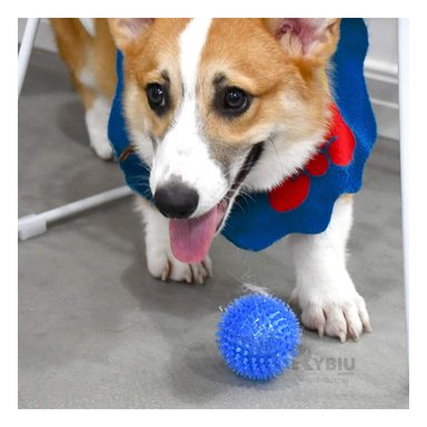 SET PELOTA PERRO Y GATO MA29861 RYBIU 3 CON PUAS MASTICABLES CON LUZ LED CELESTE