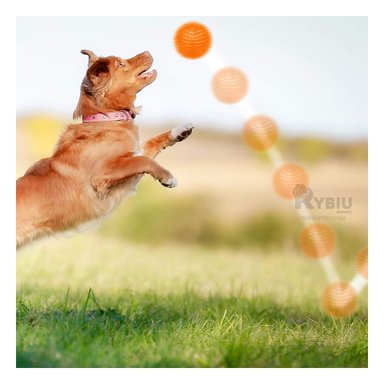 SET PELOTA PERRO Y GATO MA29860 RYBIU X3 LUMINOSOS MORDIBLES NARANJA Y AGENDITA