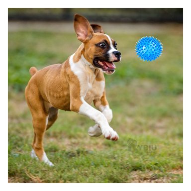 SET PELOTA PERRO Y GATO MA29861 RYBIU TRIPLE DE BOLAS BRILLANTES CELESTE Y STICKERS