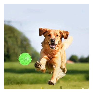 SET PELOTA PERRO Y GATO MA29859 RYBIU 3 PELOTILLAS LED VERDE Y PAPEL DE REGALO