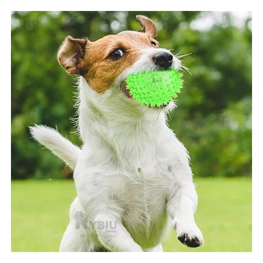 SET PELOTA PERRO Y GATO MA29859 RYBIU X3 LUMINOSOS MORDIBLES VERDE Y AGENDITA
