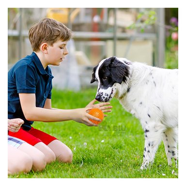 SET PELOTA PERRO Y GATO MA29860 RYBIU TRIPLE DE BOLAS BRILLANTES NARANJA Y STICKERS