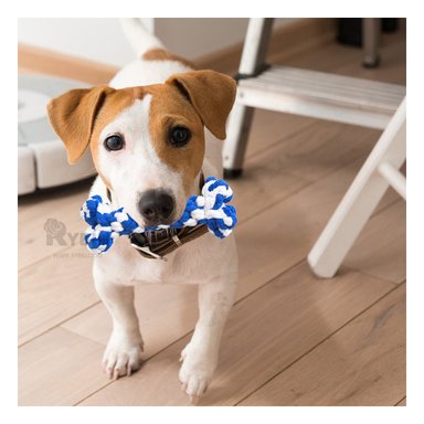 JUGUETE PERRO ALGODÓN MA29938 RYBIU DIVERTIDO TONO AZUL Y PAPEL REGALO