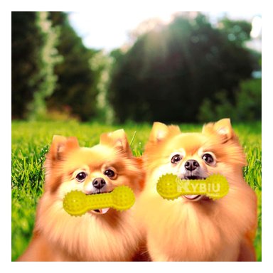 JUGUETE PERRO MA29642 RYBIU ESTIMULANTE CANINO AMARILLO Y STICKERS