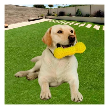 JUGUETE PERRO MA29642 RYBIU FORMA PESA CANINO AMARILLO Y PAPEL REGALO - 2