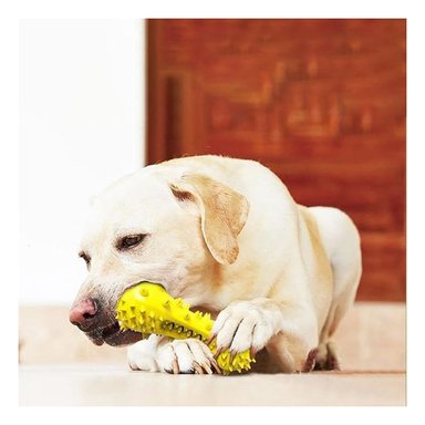 JUGUETE PERRO MA29642 RYBIU FORMA PESA CANINO AMARILLO Y PAPEL REGALO - 3