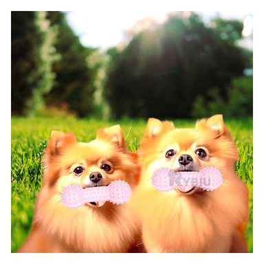 JUGUETE PERRO MA29643 RYBIU MASTICADOR FORMA PESA CON PUAS TONO ROSADO