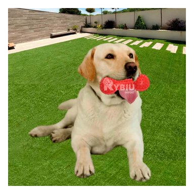 JUGUETE PERRO MA29644 RYBIU ESTIMULADOR DIENTES ROJO Y PAPEL REGALO