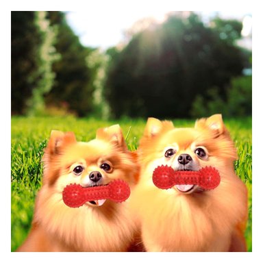 JUGUETE PERRO MA29644 RYBIU MASTICADOR FORMA PESA CON PUAS TONO ROJO