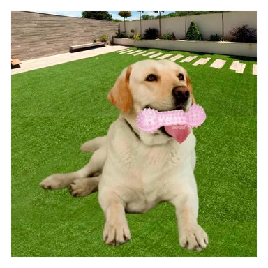 JUGUETE PERRO MA29643 RYBIU ESTIMULADOR DIENTES ROSADO Y PAPEL REGALO