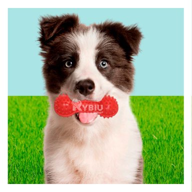 JUGUETE PERRO MA29644 RYBIU DIVERTIDO FORMA PESA ROJO Y AGENDITA