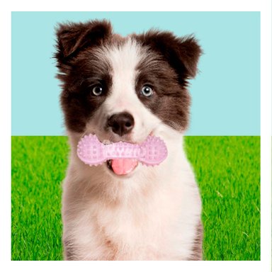 JUGUETE PERRO MA29643 RYBIU DIVERTIDO FORMA PESA ROSADO Y AGENDITA