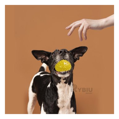 SET PERRO Y GATO MA29858 RYBIU X3 PELOTAS LUMINOSOS MORDIBLES AMARILLO Y AGENDITA