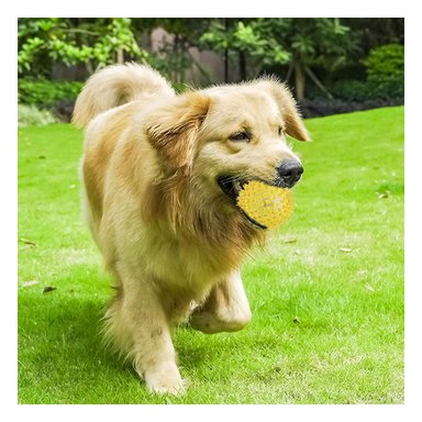 SET PERRO Y GATO MA29858 RYBIU DE 3 PELOTAS CON PUAS MASTICABLES CON LUZ LED AMARILLO