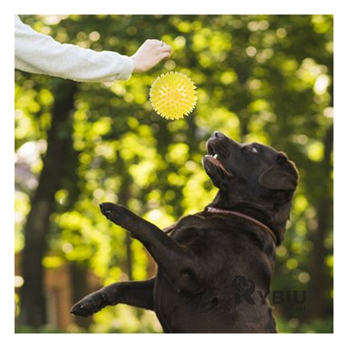 SET PELOTA PERRO Y GATO MA29858 RYBIU 3 PELOTILLAS LED AMARILLO Y PAPEL DE REGALO