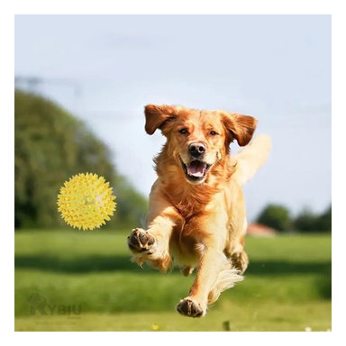 SET PELOTA PERRO Y GATO MA29858 RYBIU TRIPLE DE BOLAS BRILLANTES AMARILLO Y STICKERS