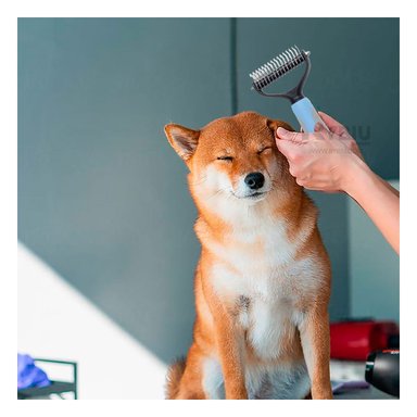 CEPILLO PERRO Y GATO RYBIU MA29855 PARA TALLA L CELESTE + PAPEL DE REGALO