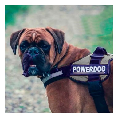 ARNÉS PERROS MA30960 RYBIU COMODO Y CONFIABLE EN COLOR NEGRO Y+AGENDITA