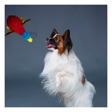 PELUCHE PERRO MA29949 RYBIU PATO TELA ROJO CON CELESTE