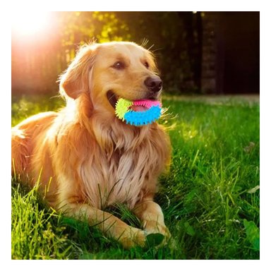 JUGUETE PERRO MA30999 RYBIU ARO PET 11 CM MULTICOLOR Y PAPEL REGALO