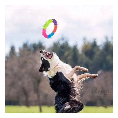 ARO JEBE PERRO MA31000 RYBIU PUNTEADO DE 14.5 CM MULTICOLOR