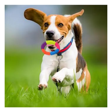 ARO ENTRENAMIENTO PERRO MA31000 RYBIU 14.5 CM MULTICOLOR Y AGENDITA