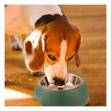 PLATO ACERO INOXIDABLE PERRO MA29884 BONITO BASE COLOR VERDE OSCURO RYBIU