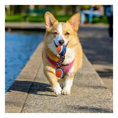 PELOTA ALGODÓN PERRO MA29941 RYBIU DOSTENIS CON CUERDA NARANJA