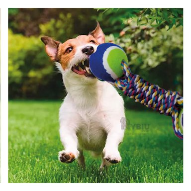 JUGUETE PERRO ALGODÓN MA29940 RYBIU CON CUERDA RESISTENTE AZUL Y AGENDITA