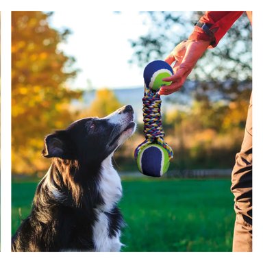 PELOTA ALGODÓN PERRO MA29940 RYBIU COMPUESTO POR DOSDURADERO AZUL Y STICKERS