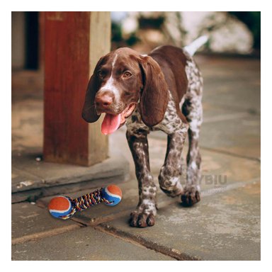 JUGUETE PERRO ALGODÓN MA29941 RYBIU CON CUERDA RESISTENTE NARANJA Y STICKERS