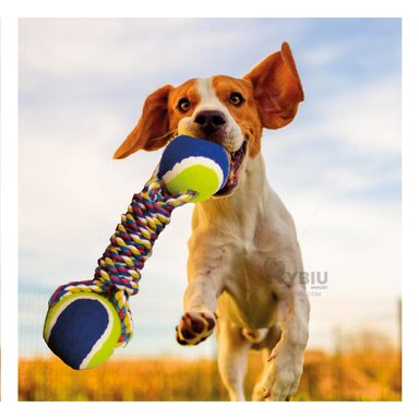 JUGUETE PERRO ALGODÓN MA29940 RYBIU EFICAZ CON DOS BOLAS TENIS AZUL Y PAPEL REGALO