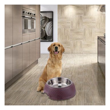 PLATO ACERO INOXIDABLE PERRO MA29885 LINDO DESMONTABLE COLOR PÚRPURA RYBIU