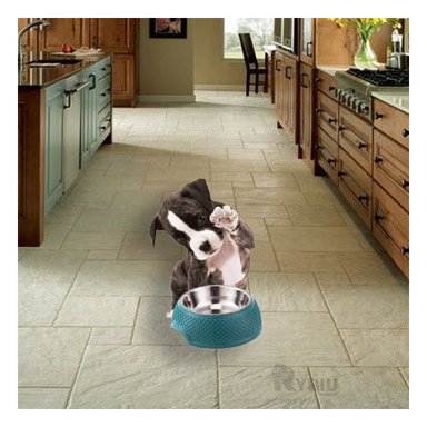 PLATO ACERO INOXIDABLE PERRO MA29884 DESMONTABLE TONO VERDE OSCURO Y STICKERS RYBIU