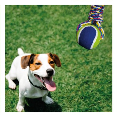 PELOTA ALGODÓN PERRO MA29940 RYBIU DOSTENIS CON CUERDA AZUL