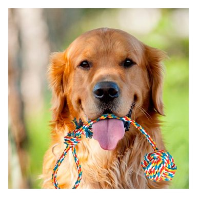 PELOTA ALGODÓN PERRO MA29947 RYBIU SOGA Y AGARRADERA MULTICOLOR COLOR