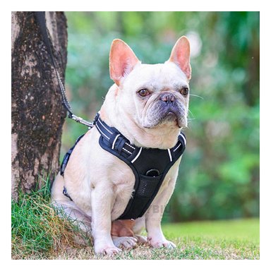 PECHERA PERROS MA30091 RYBIU HARNESS ACOLCHADO TALLA S DE COLOR NEGRO