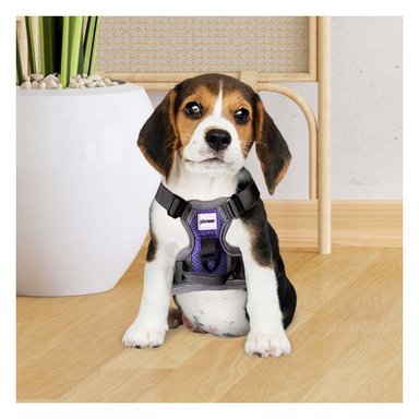 PECHERA PERROS MA30090 RYBIU CON MALLA SUAVE PARA CANES S MORADO Y+AGENDITA - 5