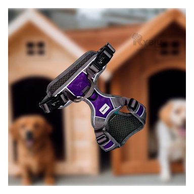 PECHERA PERROS MA30090 RYBIU S MORADO Y+PAPEL DE REGALO