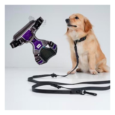 PECHERA PERROS MA30090 RYBIU S MORADO Y+PAPEL DE REGALO