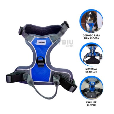 CORREA PERROS MA30092 RYBIU DIVERTIDAS TONO AZUL TALLA S Y+AGENDITA