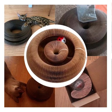 RASCADOR GATO MA30072 RYBIU + STICKERS